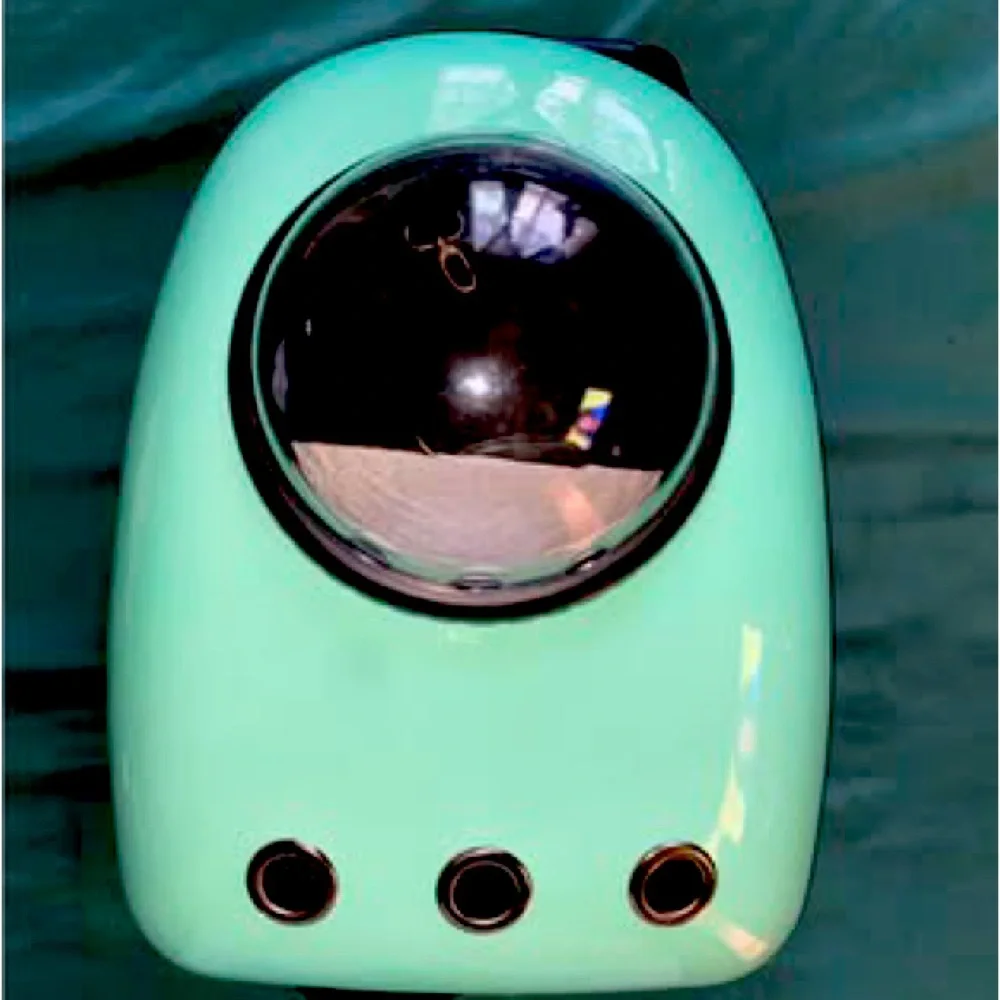 Pet Carrier for Small pets